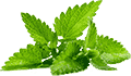 自动拨号软件连续呼叫